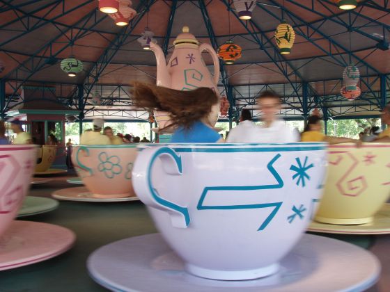 Teacup spinfest
I would pretty much throw up on this instantly; Stevie and Michelle on the mad teacup ride
